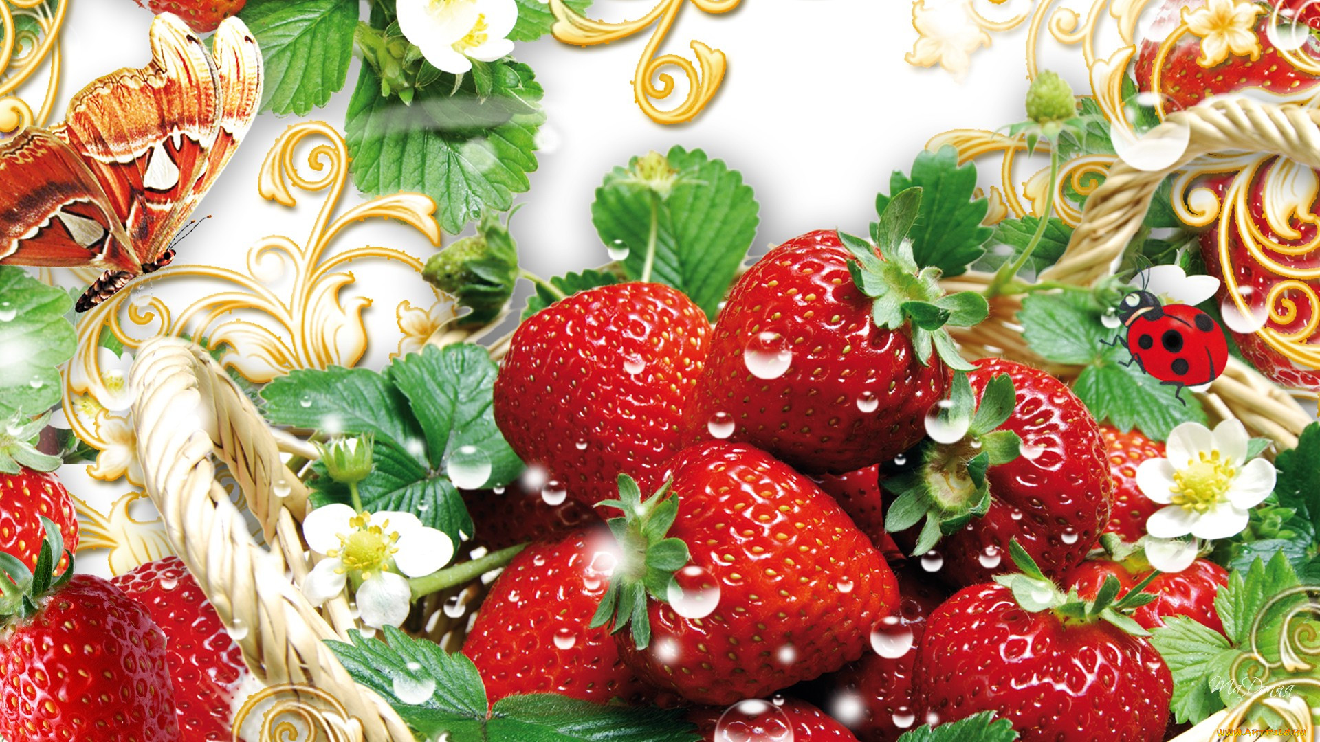strawberry, fever, , , , , 